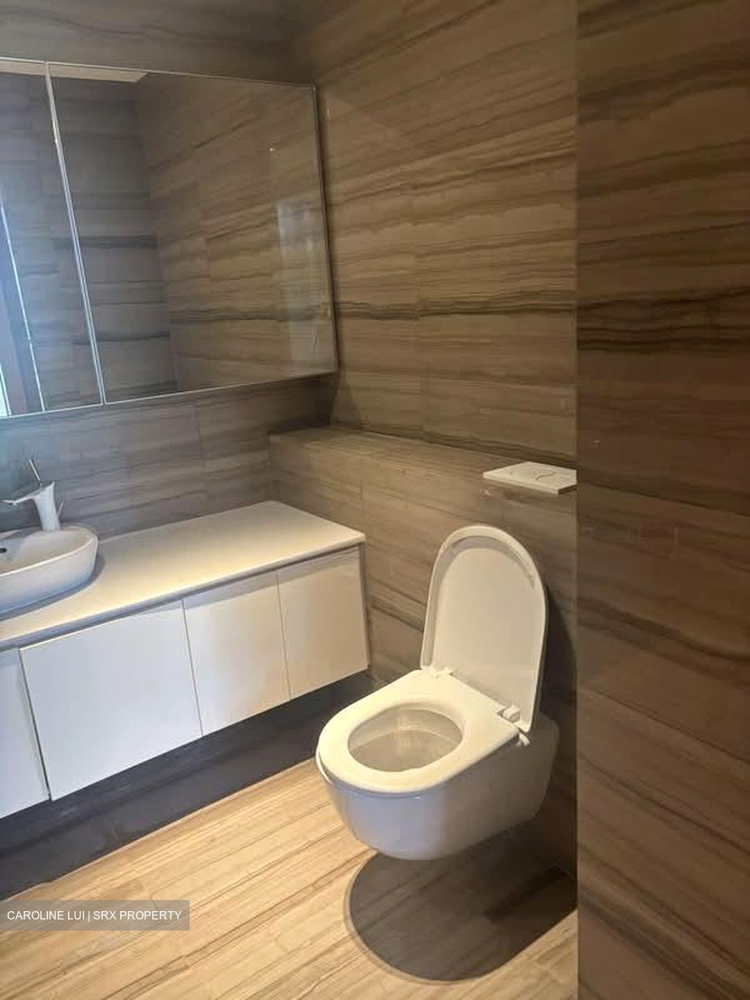 Mon Jervois (D10), Condominium #593047991